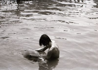 Dolphin Lover 6