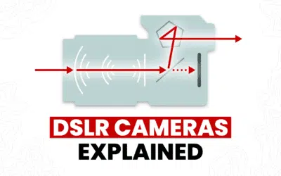What is a DSLR Camera? The Beginner’s Guide