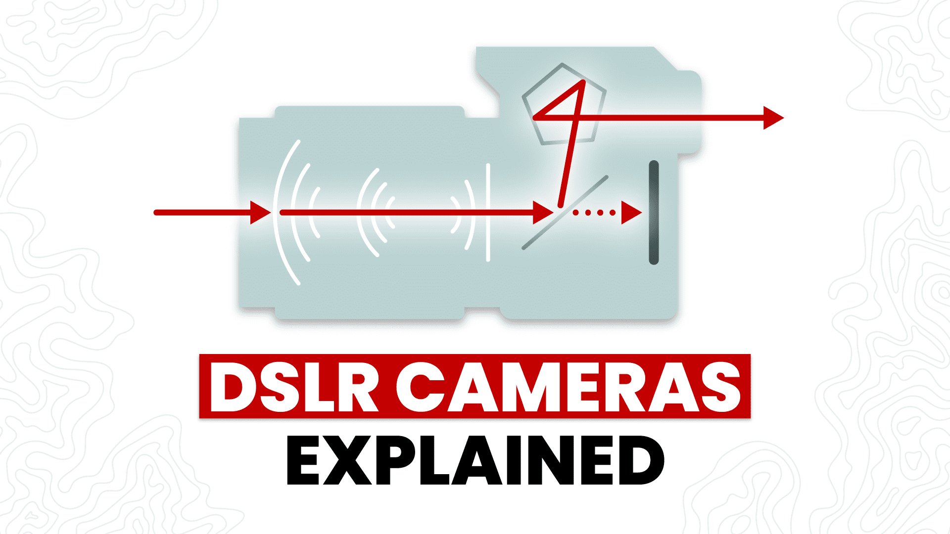Diagram of a DSLR camera